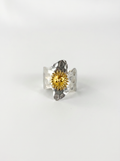 Luminoso - Anillo ajustable de sol - acero inoxidable